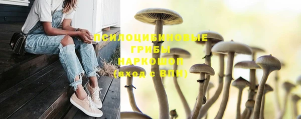 ешки Алексеевка