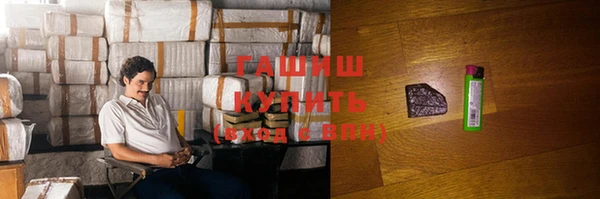 стаф Новозыбков