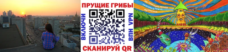 Псилоцибиновые грибы мухоморы  дарнет шоп  Чернушка 